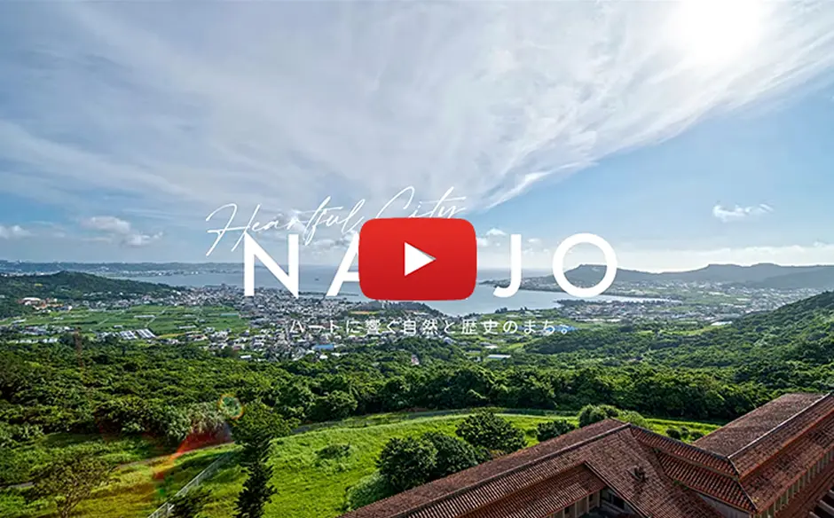 プロモーション動画